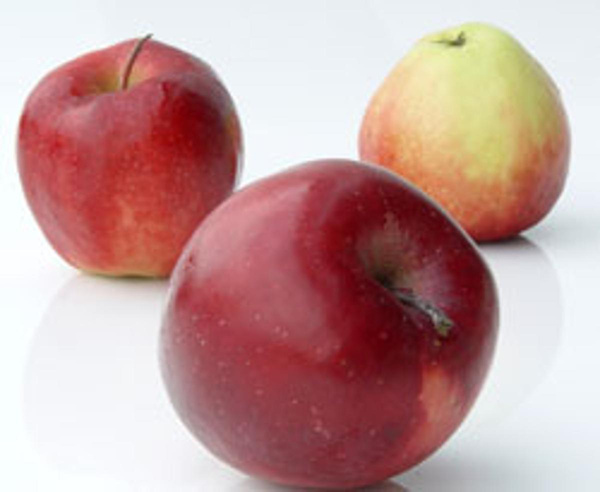 Produktfoto zu Apfel, Swee Tango