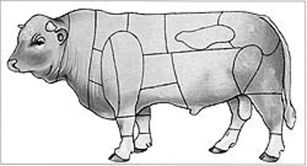 Produktfoto zu Hackfleisch vom Galloway TK