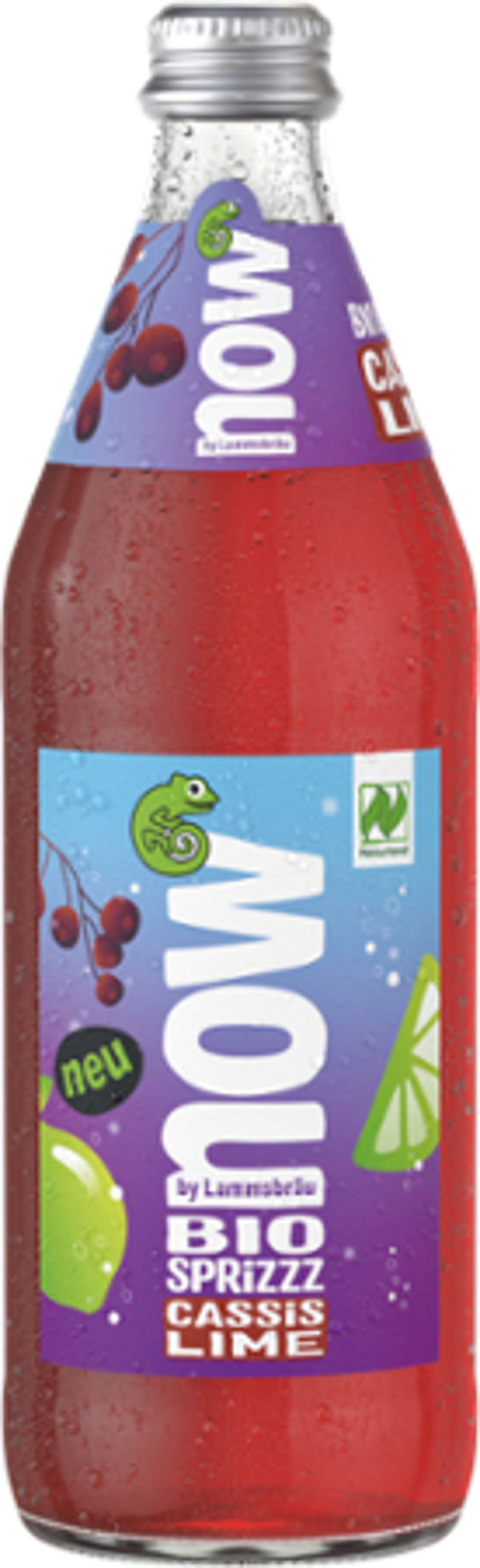 Produktfoto zu  10x0,5l now Cassis Lime