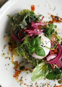 Ein kunstvoll angerichteter Salat mit Kräutern, Burrata und eingelegten Zwiebeln auf einem weißen Teller.