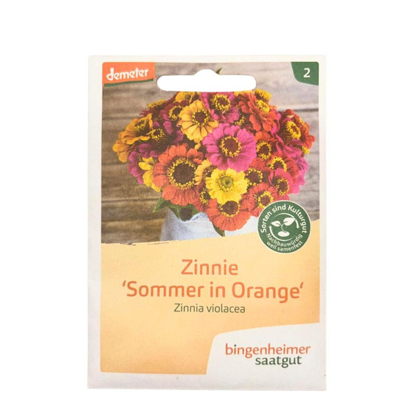 Produktfoto zu Saatgut Zinnie