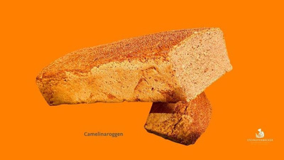 Produktfoto zu Camelina-Roggenmischbrot