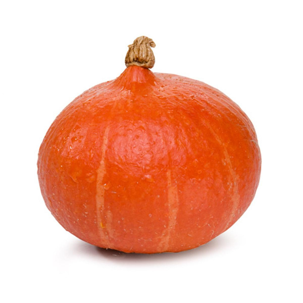 Produktfoto zu Kürbis, Hokkaido