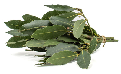 Produktfoto zu Lorbeerblätter