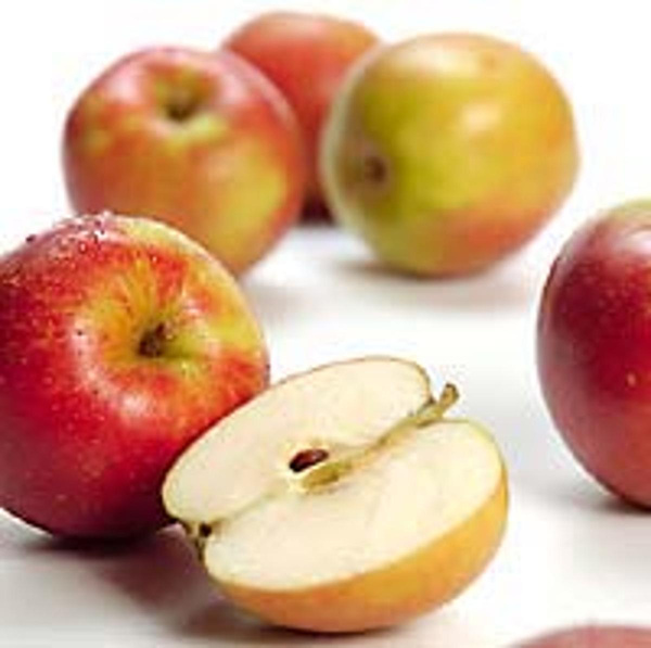 Produktfoto zu Aktionsapfel