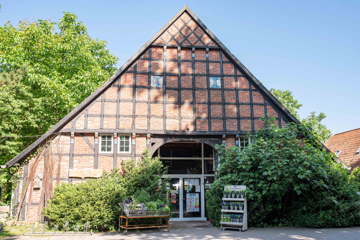 KI generiert: Ein traditionelles Fachwerkhaus mit Pflanzen im Vordergrund.